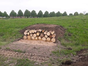 Bijenhotel aanleggen Annie M.G. Schmidtpark Lansingerland